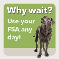 Why wait? Use your FSA any day.